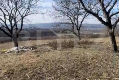 Teren de 20000 mp, în Central - 3