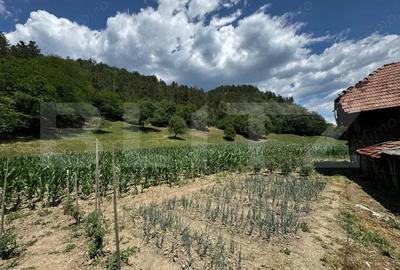 Casa cu 6000 mp teren, Poiana Ampoiului - Metes - 2