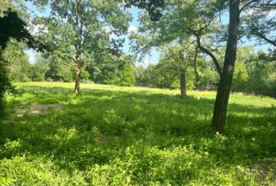 Teren de 10000 mp, în Vicovu de Sus - 1