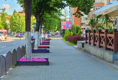 Apartament cu 3 camere decomandat în 1 Mai - 13