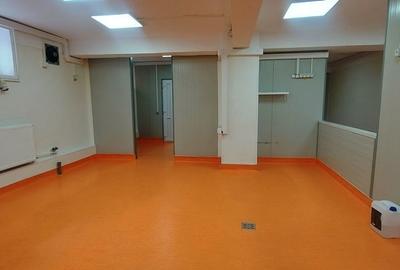 Proprietate specială, de 100 mp, în Pantelimon - 9