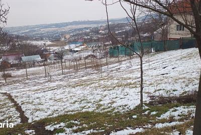 Teren de 704 mp, în Rediu - 3
