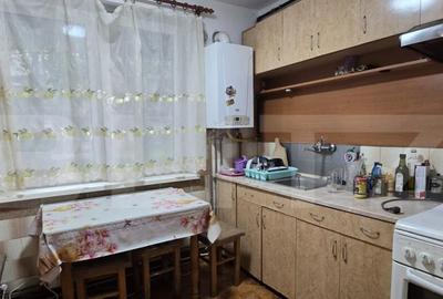 Apartament de vanzare, cu 2 camere, 46 mp, zona Careiului - 8