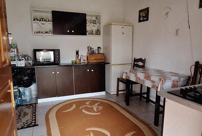 Vand casa de vacanta - 5