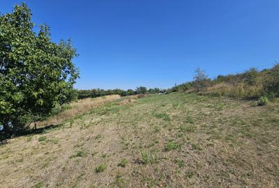 Spațiu comercial, în Central - 1