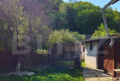 Casa spa?ioasa cu livada, intr-o zona lini?tia la 2 - 4