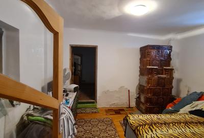 Casa individuala/sat Dobreni comuna Varasti - 12