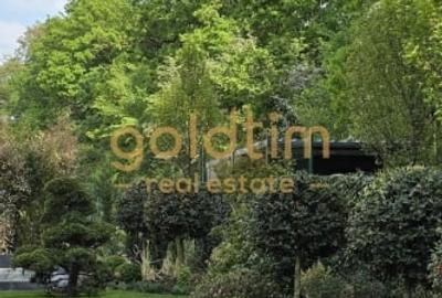 VILA INDIVIDUALA DE LUX/PIPERA/SCOALA OLGA GUDYNN/SCOALA AMERICANA VILA INDIVIDUALA DE LUX/PIPERA/SCOALA OLGA GUDYNN/SCOALA AMERICANA - 11