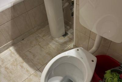 Titan-Mega Image Liviu Rebreanu - 6