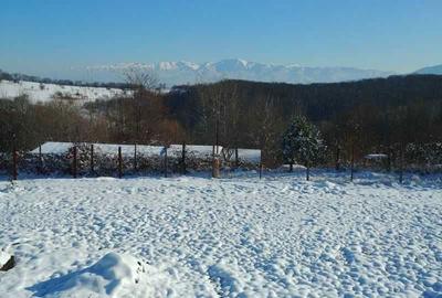 Spațiu comercial, în Cisnădioara - 1