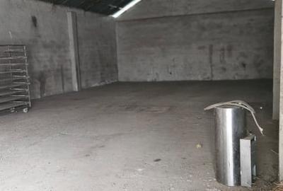 Casă individuală cu 4 camere cu Teren 6700 Mp în Gelu - 2