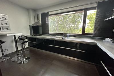 Duplex cu 3 camere cu Canalizare în Lipovei - 24