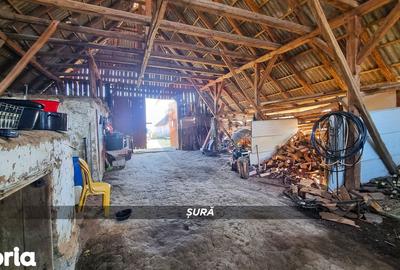 Casă cu 3 camere cu Teren 3724 Mp în Apa - 16