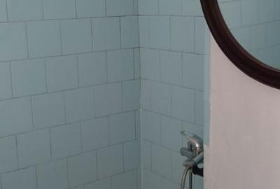 Apartament cu 2 camere decomandat în Sebiș - 3