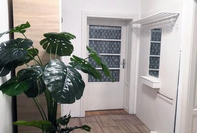 Potențial imobiliar! 2 case in curte, front 30 m, teren 15277 mp - 11