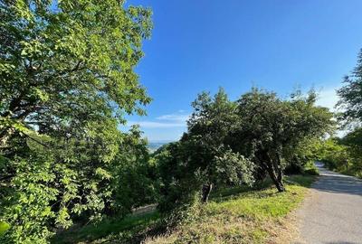 Teren zona turistica Rosia - 9