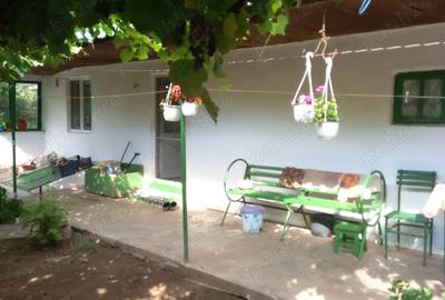 Casă cu 3 camere în Mircea Vodă - 8