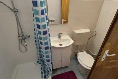 Apartament cu 3 camere semidecomandat în Ultracentral - 4