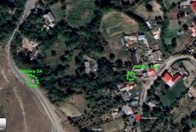 6000 mp Teren intravilan, Comuna Ion Creanga, Jud. Neamt - 2