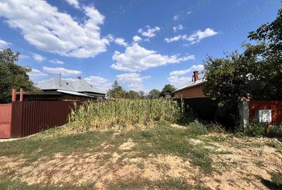 Teren de 1366 mp, în Zlătărei - 6