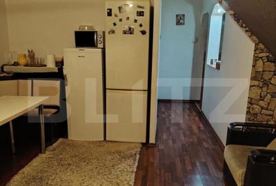 Casa etaj + demisol, 340 mp utili, 350 mp teren, zona Burduj - 11