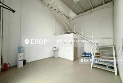 Spațiu comercial, de 2,450 mp, în Mogoșoaia - 4