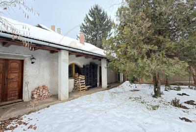 Proprietate cu 2 case | Teren 546 mp | Str. Albinelor Nr.18 - Carei - 9