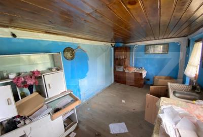 Casa batraneasca cu 6000 mp teren Schitul Duca - 3