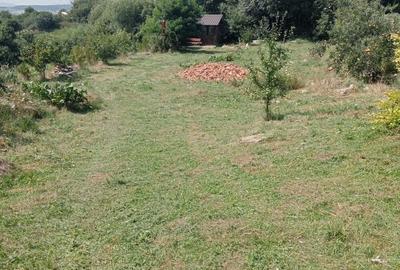 Spațiu comercial, în Dâmbul Rotund - 7