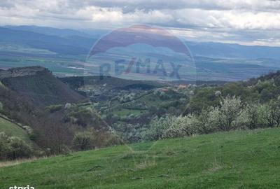 Spațiu comercial, în Valea Vințului - 4