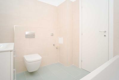 Apartament cu 2 camere decomandat în Podu Roș - 10