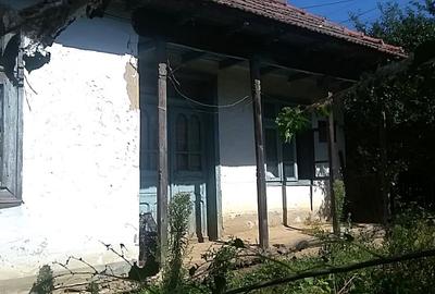 Vanzare Teren 777 mp + casa batraneasca Smeeni BZ - 5