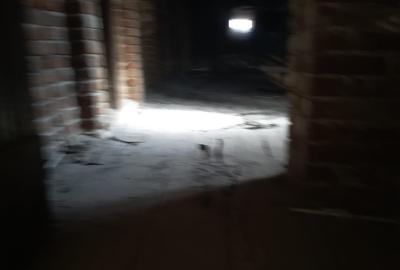 Vila zona Tineretului Vila zona Tineretului - 5