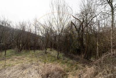 Teren de 1221 mp, în Budeasa - 3