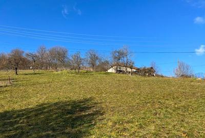 Teren intravilan 6.229 mp Șuncuiuș – râu, izvor, ideal business turistic - 3