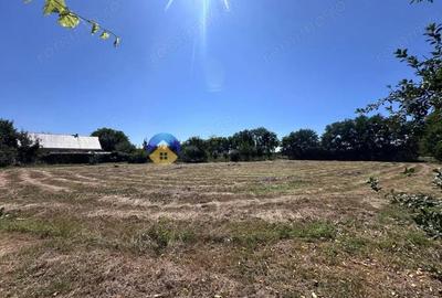 Casă cu 3 camere cu Teren 6817 Mp în Zănești - 15