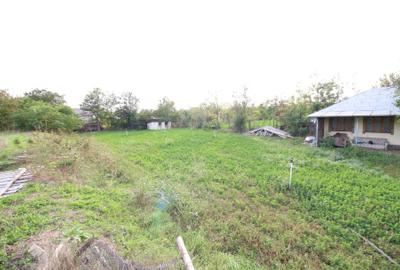 Vand casa in Schela cu toate utilitatile -65.000euro neg - 8