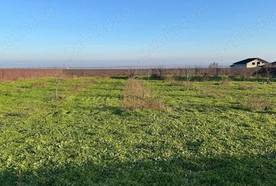 Teren de 2042 mp, în Tulucești - 1