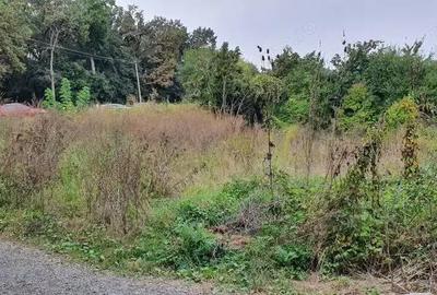 Teren de 50100 mp, în Tudor - 3