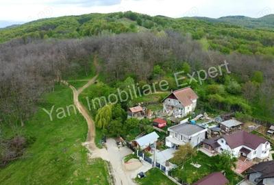 Teren de vanzare in Curtea de Arge?, strada Paune?ti. - 8