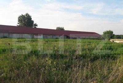 De vanzare afacere /hala , 1200mp , zona Botiz De vanzare afacere /hala , 1200mp , zona Botiz - 3