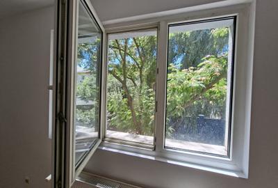 Dumbravita la intrare,  pentru locuit sau afacere - 4