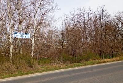Teren intravilan 5.000 m? cu 40 m deschidere la DN2A - langa Kaufland Slobozia - 12