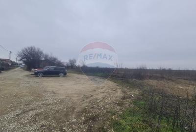 Teren Construcții intravilan de 431 mp, în Exterior Est - 3