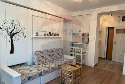 Inchiriere Garsoniera Regina Elisabeta - 1