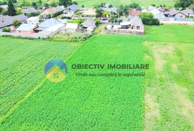 TEREN intravilan PODOLENI, jud. Neam? TEREN intravilan PODOLENI, jud. Neam? - 3