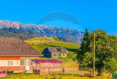 COMISION 0% Teren 19.300 mp/?irnea/ Oportunitate de inve... COMISION 0% Teren 19.300 mp/?irnea/ Oportunitate de inve... - 13