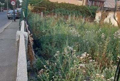 Teren 189mp pret promo 10 zile - 6