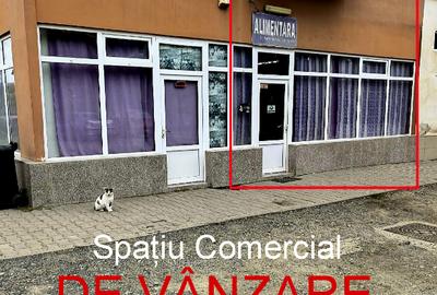 Spațiu Comercial - 4