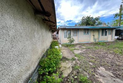 Casa + teren 4430 mp, vie si pomi fructiferi, 22 km de Tecuci - 25